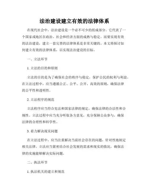 法治建设建立有效的法律体系
