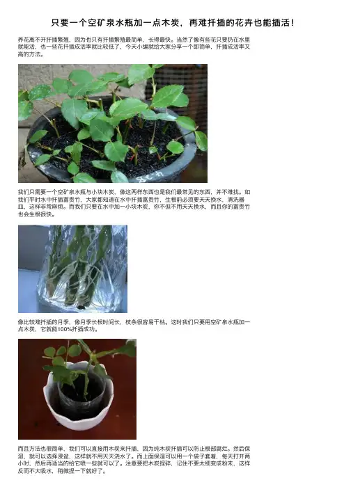 只要一个空矿泉水瓶加一点木炭，再难扦插的花卉也能插活！