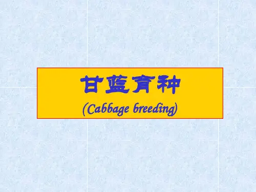 蔬菜育种学各论课件甘蓝育种