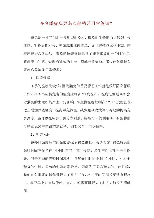 在冬季獭兔要怎么养殖及日常管理？