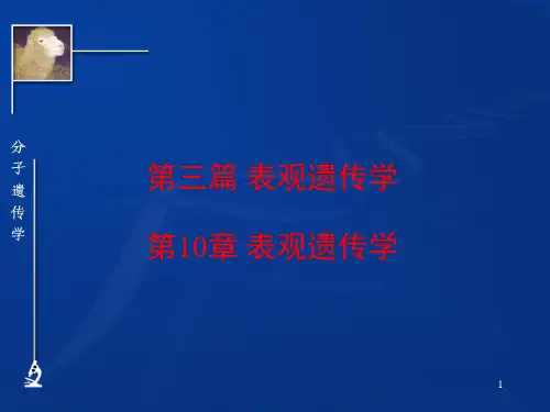 第10章 表观遗传学