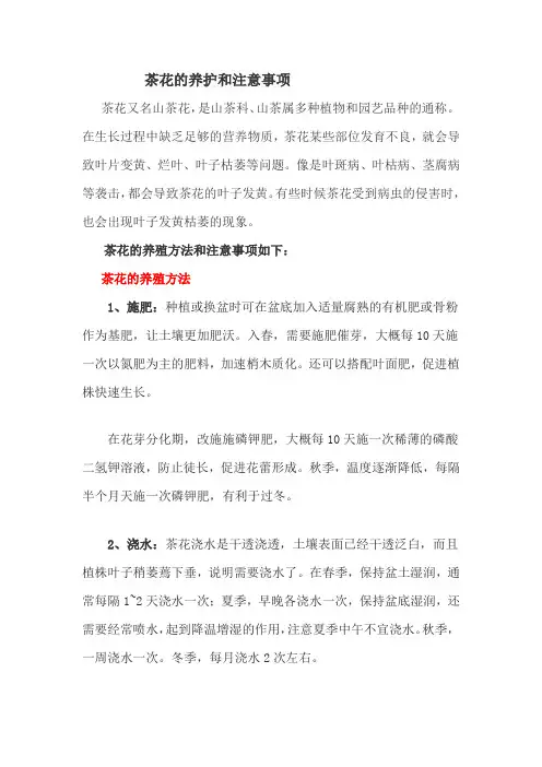 茶花的养护和注意事项