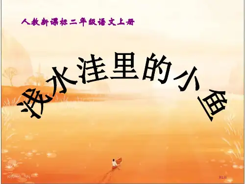 28.浅水洼里的小鱼市公开课金奖市赛课一等奖课件