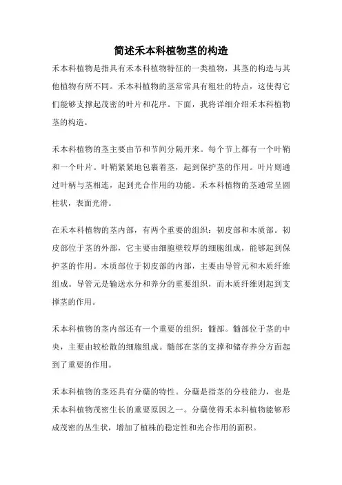 简述禾本科植物茎的构造