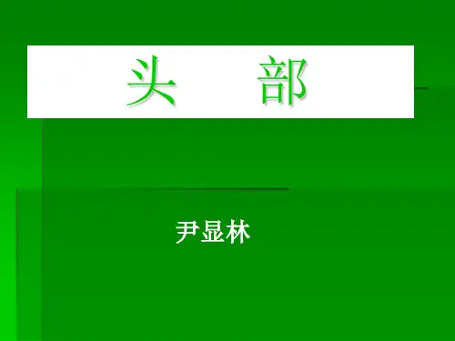 局部解剖学—头颈部
