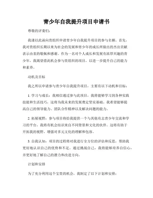 青少年自我提升项目申请书