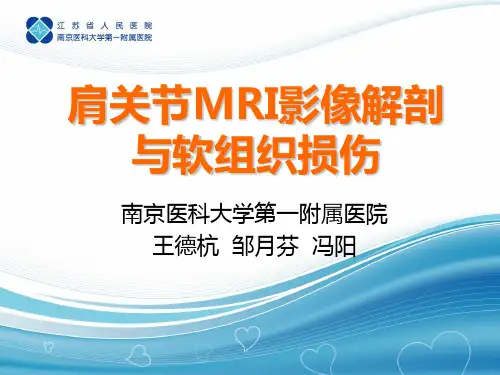 肩关节损伤的MRI诊断