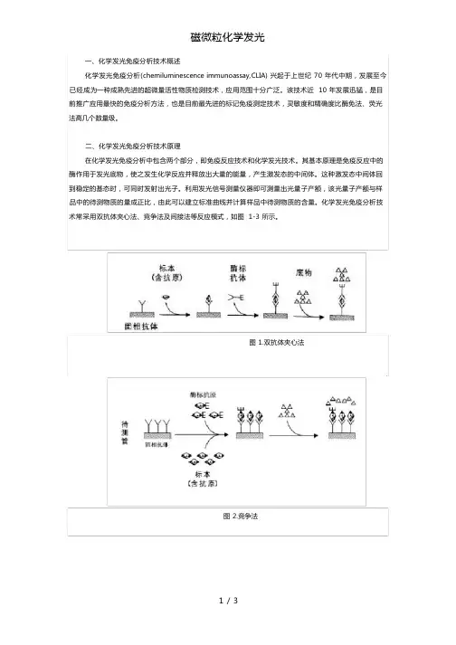 磁微粒化学发光