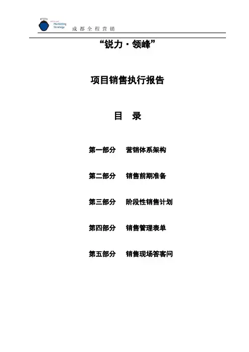 (3)项目销售执行报告.doc