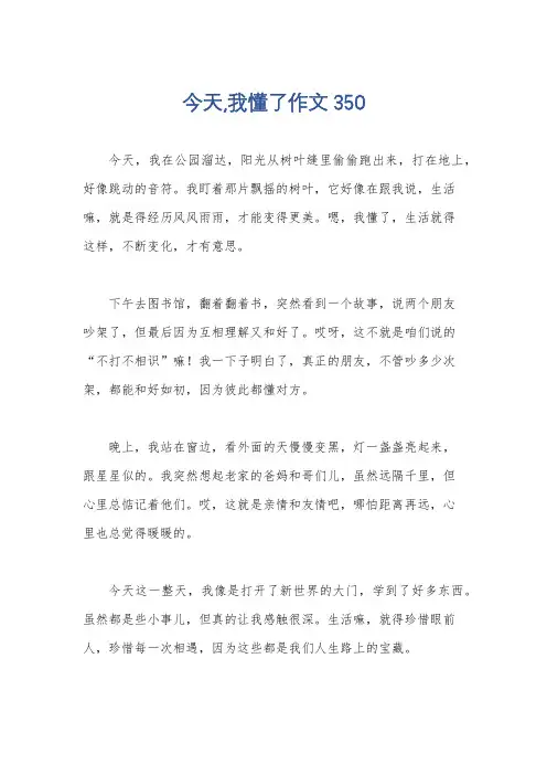 今天,我懂了作文350
