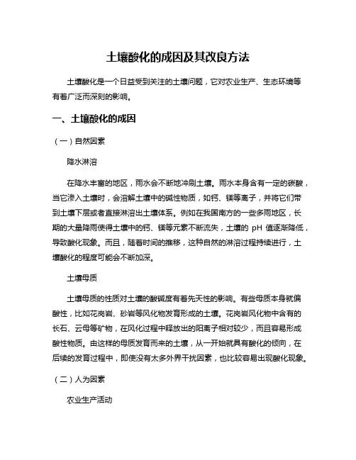 土壤酸化的成因及其改良方法