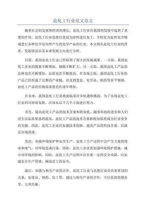 盐化工行业范文范文