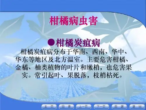 柑橘病虫害