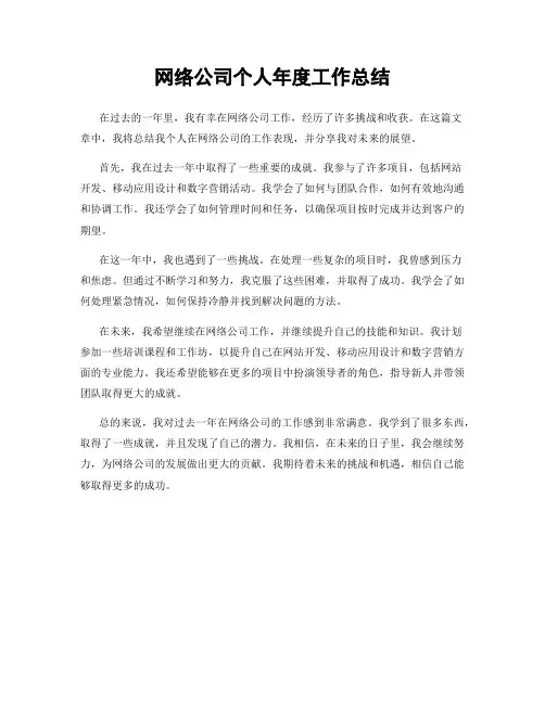 网络公司个人年度工作总结
