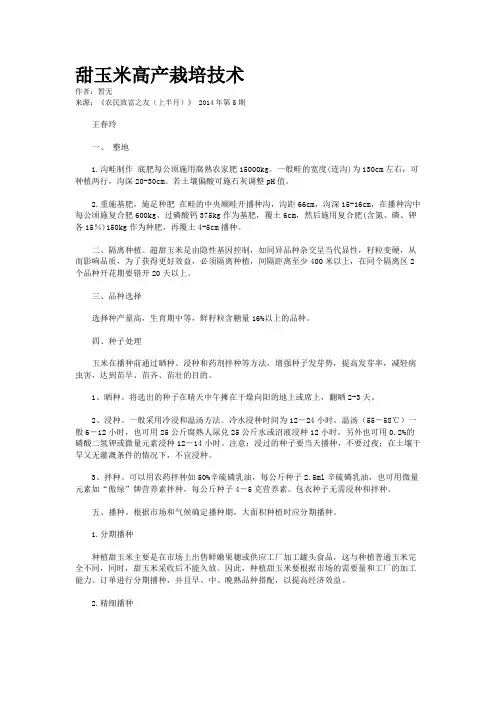 甜玉米高产栽培技术