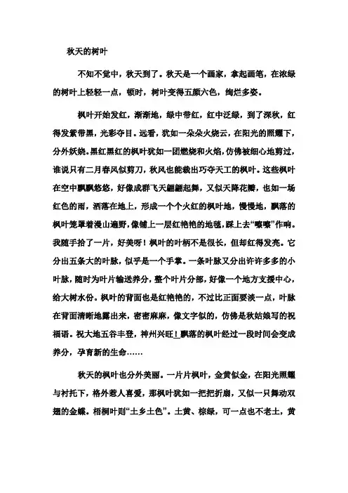 秋天的树叶
