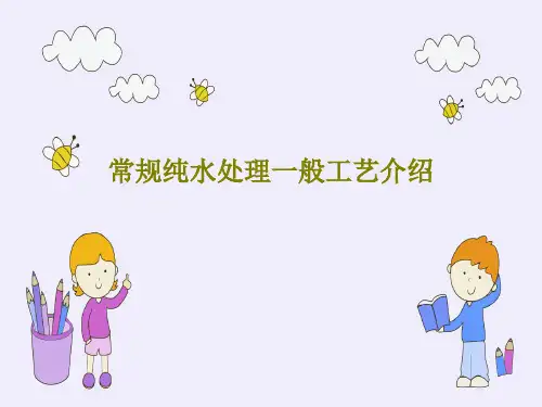 常规纯水处理一般工艺介绍共58页文档