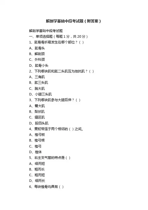 解剖学基础中段考试题（附答案）