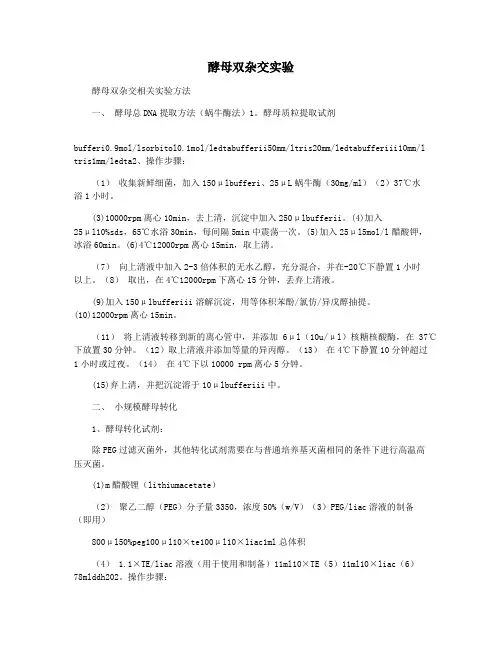 酵母双杂交实验