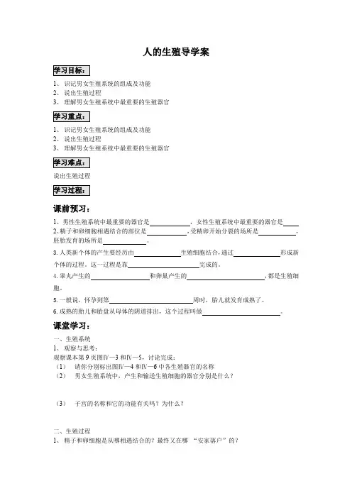 《人的生殖》导学案(人教新课标生物七年级下)
