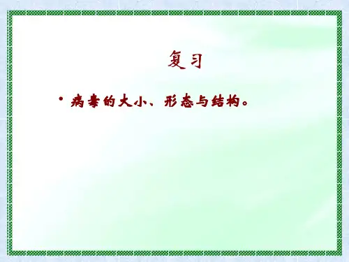 流感病毒