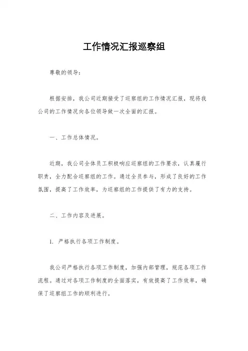 工作情况汇报巡察组