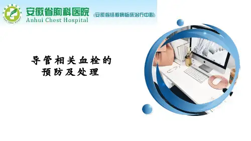 导管相关性血栓的预防及处理ppt课件