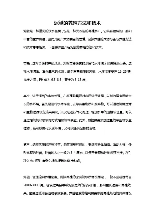 泥鳅的养殖方法和技术