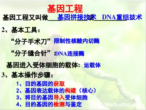 高中生物选修3专题复习