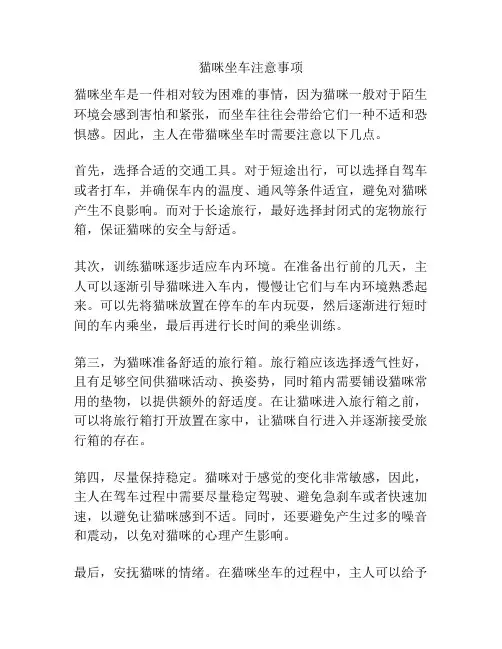 猫咪坐车注意事项