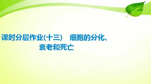 课时分层作业13 细胞的分化、衰老和死亡