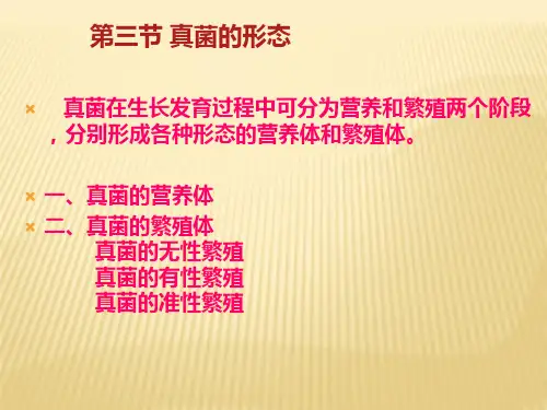 菌物学第一章第3节
