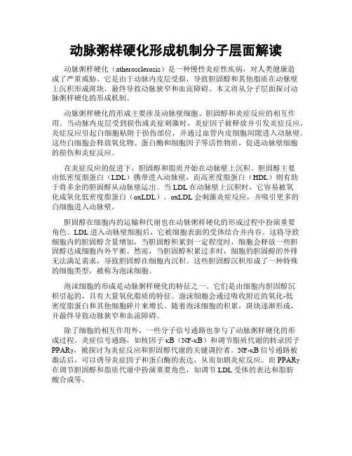 动脉粥样硬化形成机制分子层面解读