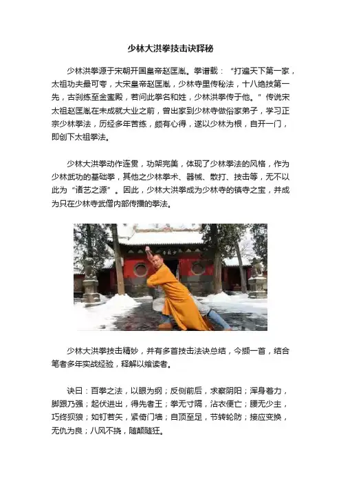 少林大洪拳技击诀释秘