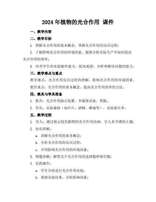 2024年植物的光合作用课件