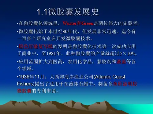 微胶囊技术和应用专题培训课件