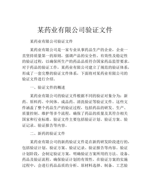某药业有限公司验证文件