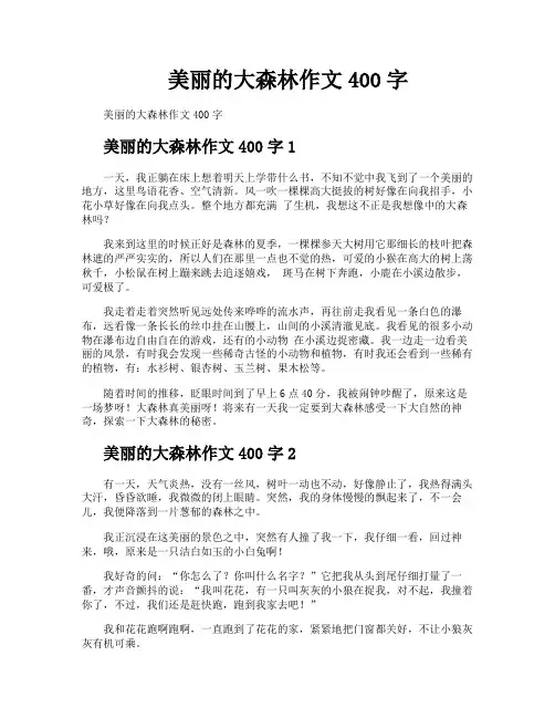 美丽的大森林作文400字