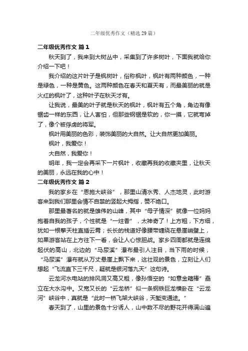 二年级优秀作文（精选29篇）