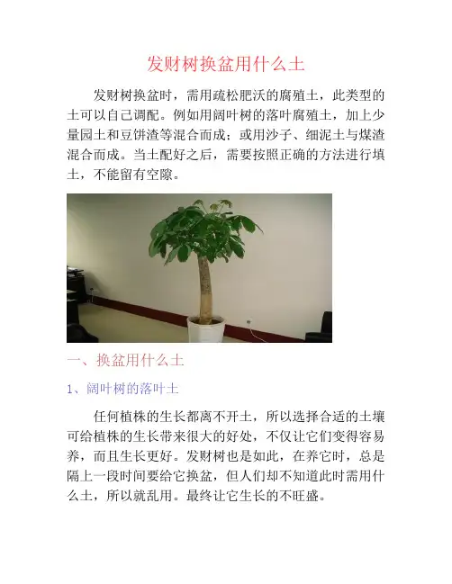 发财树换盆用什么土-养花技巧