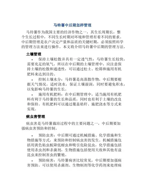 马铃薯中后期怎样管理