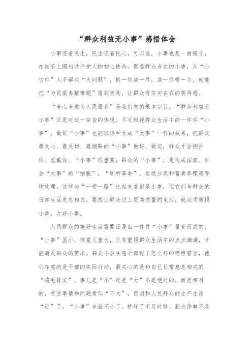 “群众利益无小事”感悟体会