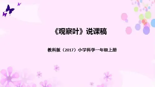 教科版(2017版)科学一年上册《观察叶》说课稿(附反思、板书)课件