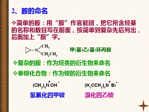 大学有机化学胺与酰胺