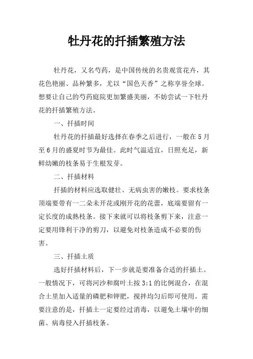 牡丹花的扦插繁殖方法