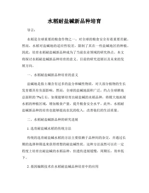 水稻耐盐碱新品种培育