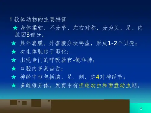 软体动物幻灯片