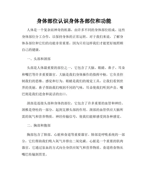 身体部位认识身体各部位和功能