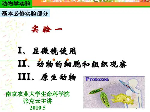 动物学实验