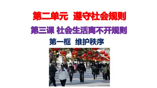 3.1 维护秩序 课件(共22张PPT)-道德与法治八年级上册